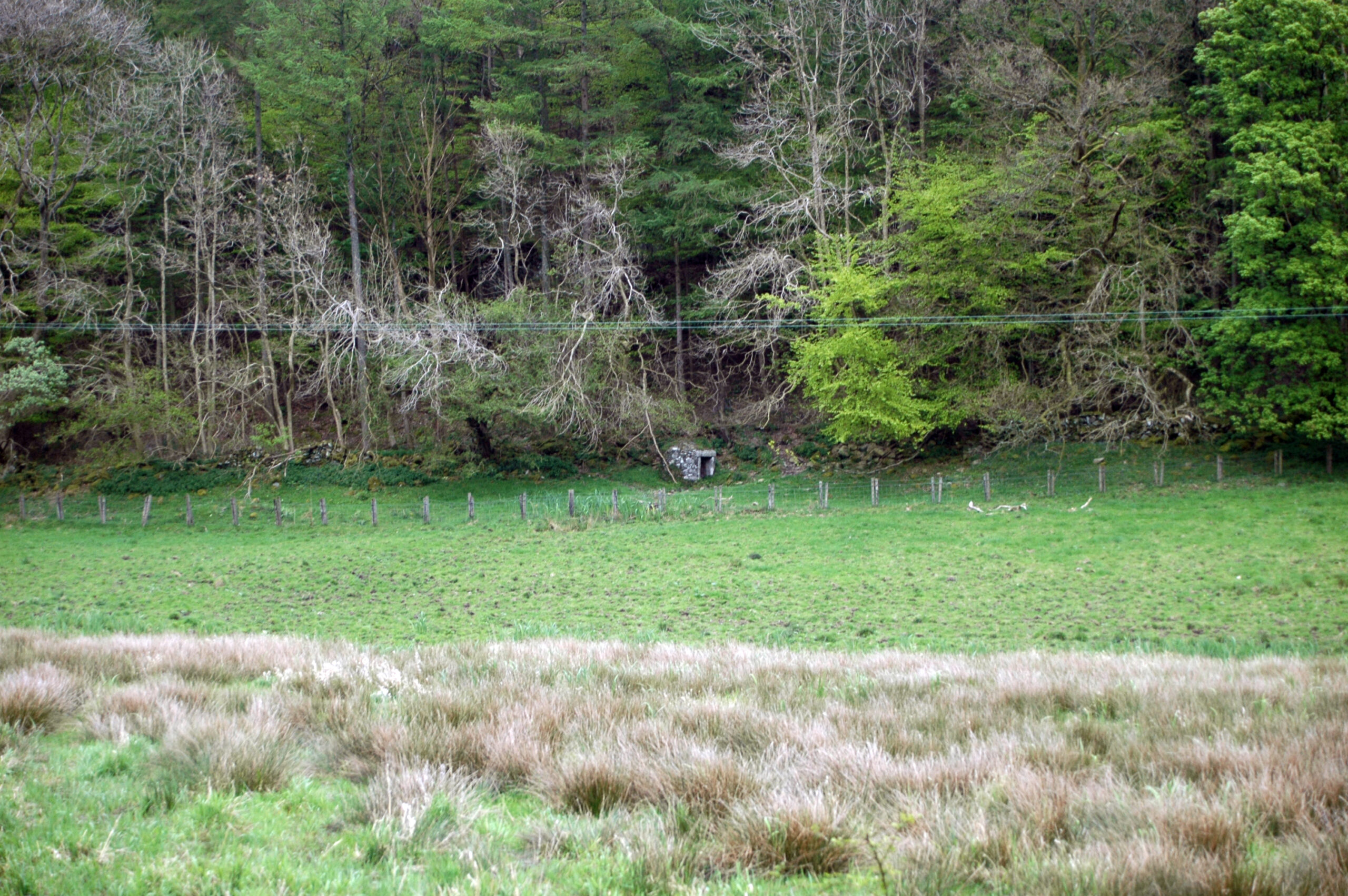SKiP001 - Rutherfords Well